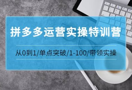 拼多多运营实操特训营：从0到1/单点突破/1-100/带领实操 价值2980元-创艺项目网