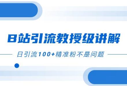 B站引流教授级讲解，细节满满，日引流100 精准粉不是问题-创艺项目网