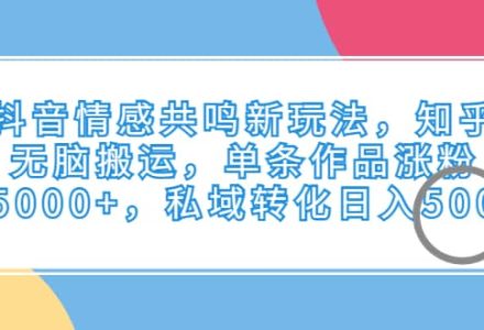 抖音情感共鸣新玩法，知乎无脑搬运，单条作品涨粉5000 ，私域转化日入500-创艺项目网