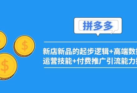 2022拼多多：新店新品的起步逻辑 高端数据化运营技能 付费推广引流能力提升-创艺项目网