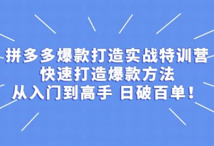 拼多多爆款打造实战特训营：快速打造爆款方法，从入门到高手 日破百单-创艺项目网