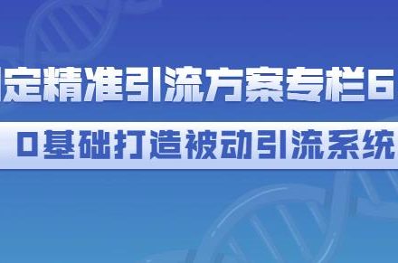 制定精准引流方案专栏6.0，0基础打造被动引流系统-创艺项目网