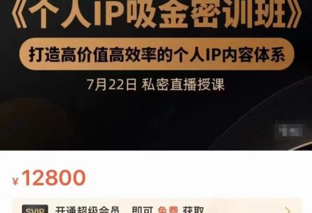 个人IP吸金密训班，打造高价值高效率的个人IP内容体系（价值12800元）-创艺项目网