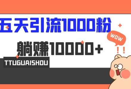 5天引流1000 ，赚了1w-创艺项目网