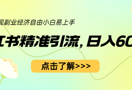 小红书精准引流，小白日入600 ，轻松实现副业经济自由（教程 1153G资源）-创艺项目网