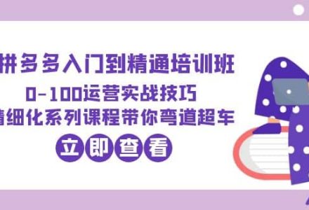 2023拼多多入门到精通培训班：0-100运营实战技巧 精细化系列课带你弯道超车-创艺项目网