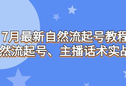 7月最新自然流起号教程，自然流起号、主播话术实战课-创艺项目网