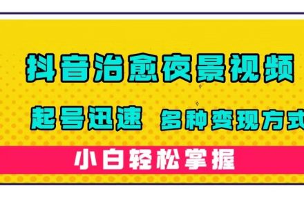 抖音治愈系夜景视频，起号迅速，多种变现方式，小白轻松掌握（附120G素材）-创艺项目网