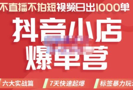 2022年抖音小店爆单营，不直播、不拍短视频、日出1000单，暴力玩法-创艺项目网