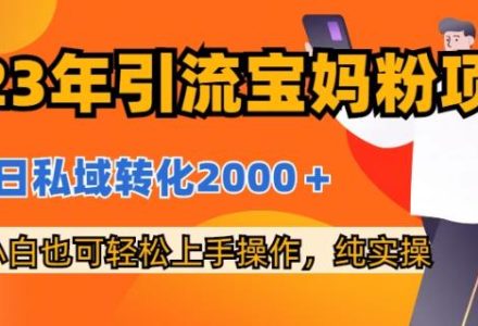 2023年引流宝妈粉项目，单日私域转化2000＋，新手小白也可轻松上手操作，纯实操-创艺项目网