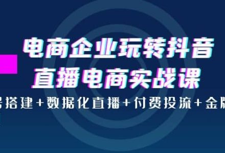 电商企业玩转抖音直播电商实战课：账号搭建 数据化直播 付费投流 金牌主播-创艺项目网