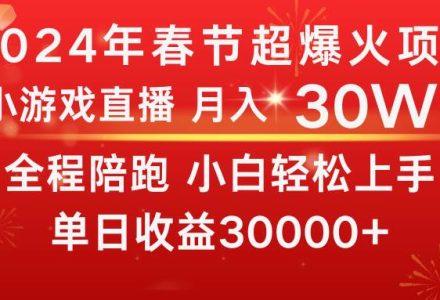 龙年2024过年期间，最爆火的项目 抓住机会 普通小白如何逆袭一个月收益30W+-创艺项目网