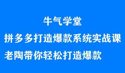 牛气学堂拼多多打造爆款系统实战课，老陶带你轻松打造爆款-创艺项目网