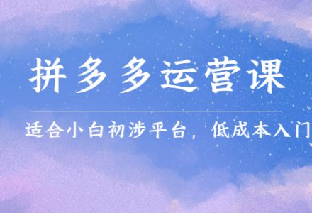 拼多多运营课，适合小白初涉平台，低成本入门-创艺项目网