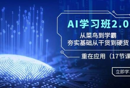 AI学习班2.0：从菜鸟到学霸，夯实基础从干货到硬货，重在应用（17节课）-创艺项目网