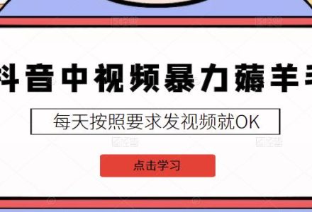 2022抖音中视频暴力薅羊毛白嫖项目：新号每天20块，老号几天几百块，可多号-创艺项目网