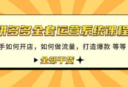 拼多多全套运营系统课程：新手如何开店 如何做流量 打造爆款 等等 全部干货-创艺项目网