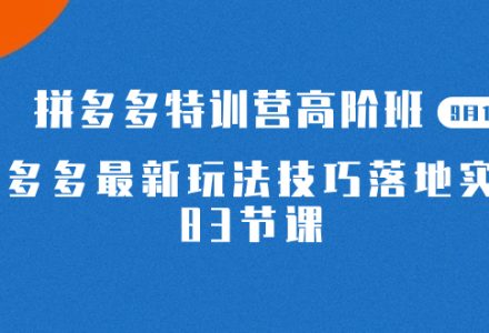 2023拼多多·特训营高阶班【9月13日更新】拼多多最新玩法技巧落地实操-83节-创艺项目网