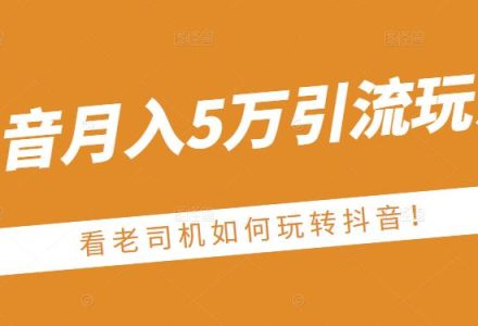 老古董·抖音月入5万引流玩法，看看老司机如何玩转抖音(附赠：抖音另类引流思路)-创艺项目网