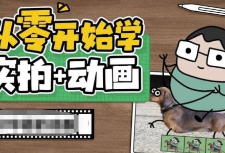 从零开始学实拍加动画，实拍加动画创意教程（49节视频课）-创艺项目网