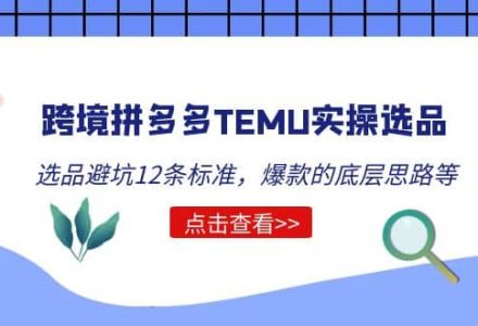 跨境拼多多TEMU实操选品运营方法，选品避坑12条标准，爆款的底层思路等-创艺项目网