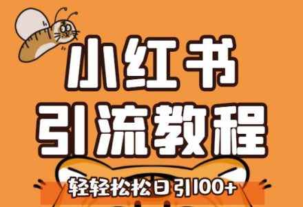 小红书运营引流全系列课程，每天引流100精准粉-创艺项目网