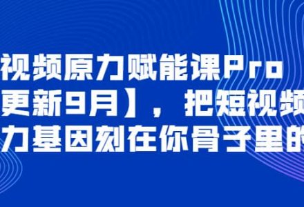 短视频原力赋能课Pro【更新9月】，把短视频能力基因刻在你骨子里的课-创艺项目网