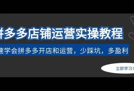 拼多多店铺运营实操教程：快速学会拼多多开店和运营，少踩坑，多盈利-创艺项目网