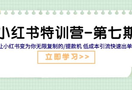 小红书特训营-第七期 让小红书变为你无限复制的/提款机 低成本引流快速出单-创艺项目网