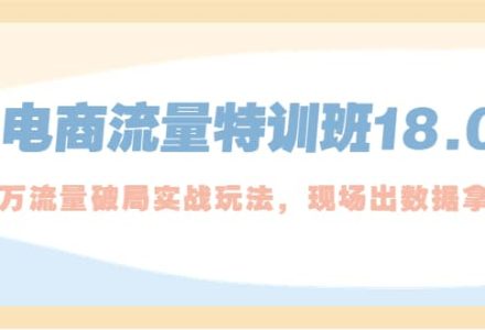 电商流量特训班18.0，直引万流量破局实操玩法，现场出数据拿结果-创艺项目网