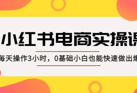 小红书·电商实操课：每天操作3小时，0基础小白也能快速做出爆款-创艺项目网