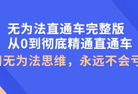 无为法直通车完整版：从0到彻底精通直通车，用无为法思维，永远不会亏损-创艺项目网