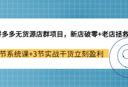 拼多多无货源店群项目，新店破零 老店拯救 12节系统课 3节实战干货立刻盈利-创艺项目网