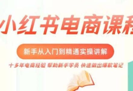 小红书电商新手入门到精通实操课，从入门到精通做爆款笔记，开店运营-创艺项目网