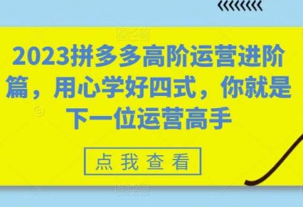 2023拼多多高阶运营进阶篇，用心学好四式，你就是下一位运营高手-创艺项目网