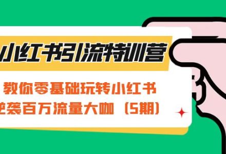 小红书引流特训营-第5期：教你零基础玩转小红书，逆袭百万流量大咖-创艺项目网