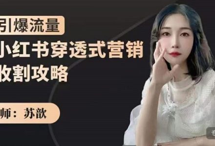 小红书穿透式营销收割攻略，引爆流量，助你玩转小红书-创艺项目网