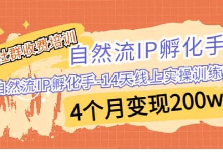 某社群收费培训：自然流IP 孵化手-14天线上实操训练营 4个月变现200w-创艺项目网