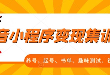 抖音小程序变现集训课，养号、起号、书单、趣味测试、视频剪辑，全套流程-创艺项目网