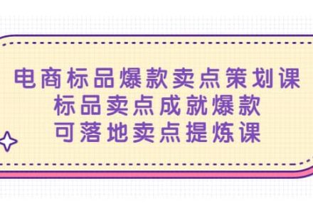 电商标品爆款卖点策划课，标品卖点成就爆款，可落地卖点提炼课-创艺项目网