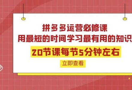 拼多多运营必修课：20节课每节5分钟左右，用最短的时间学习最有用的知识-创艺项目网