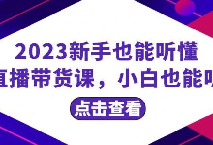 2023新手也能听懂的直播带货课，小白也能听懂，20节完整-创艺项目网