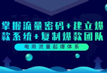 电商流量起爆体系：掌握流量密码 建立爆款系统 复制爆款团队（价值599）-创艺项目网