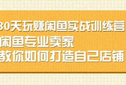 30天玩赚闲鱼实战训练营，闲鱼专业卖家教你如何打造自己店铺-创艺项目网