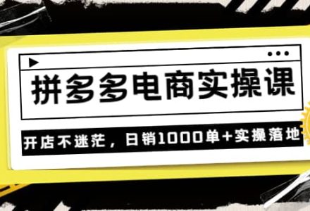 《拼多多电商实操课》开店不迷茫，日销1000单 实操落地（价值299元）-创艺项目网