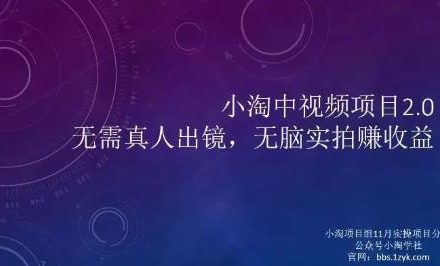 小淘项目组网赚永久会员，绝对是具有实操价值的，适合有项目做需要流程【持续更新】-创艺项目网