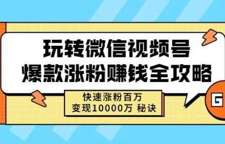 玩转微信视频号爆款涨粉赚钱全攻略，快速涨粉百万变现万元秘诀-创艺项目网