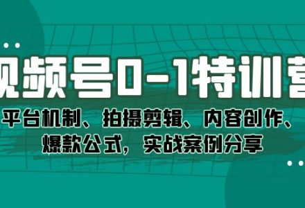 视频号0-1特训营：平台机制、拍摄剪辑、内容创作、爆款公式，实战案例分享-创艺项目网