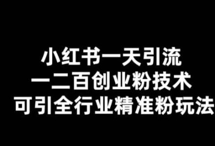 【引流必备】小红书一天引流一二百创业粉技术，可引全行业精准粉玩法-创艺项目网