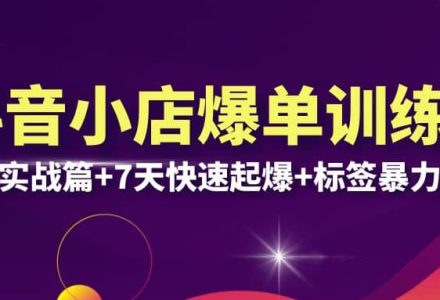 抖音小店爆单训练营VIP线下课：6大实战篇 7天快速起爆 标签暴力玩法(32节)-创艺项目网